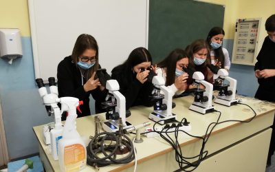 Naravoslovni dan za devetošolce: mikrobiologija in biotehnologija
